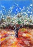 44 - Liz Symonds - Blossom Tree - Pastel.jpg